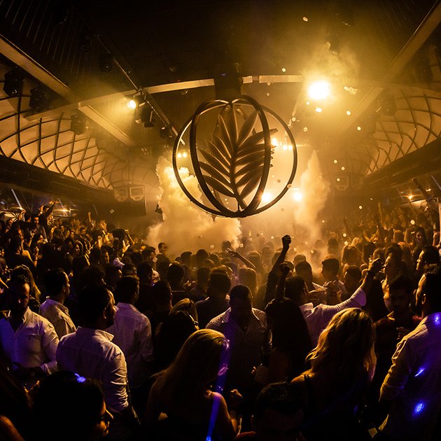 Festas premium floripa